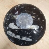 Polished Bowl From 400 Million Year Old Fossil Filled Moroccan Marble - 2