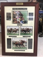 Framed Cox Plate Winner 1986 36/100 Numbered and Signed