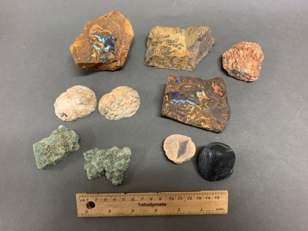 Asstd Lot of Rock Specimens inc. Opal, Fossils etc