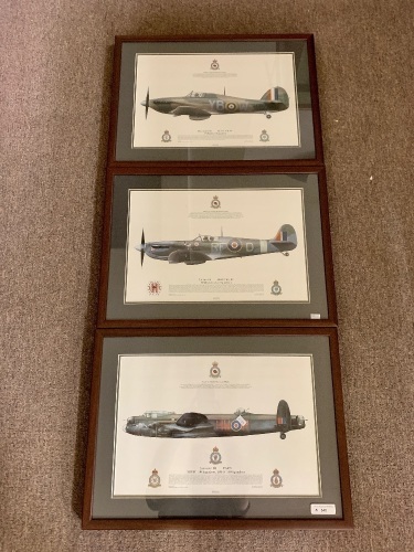 3 Well Framed Prints of the Battle of Britain Memorial Flight Aircraft