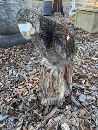 Concrete Parrot on Stump