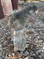 Concrete Parrot on Stump - 2