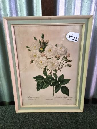 VINTAGE ROSA WATERCOLOUR (ORIGINAL, TAG ON BACK) - CONDITION FAIR