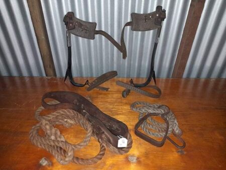 RARE VINTAGE TREE FELLING / FORESTRY ITEMS (3) - PAIR LEG SPIKES, SAFETY BELT ROPE, FOOT STIRRUP ROPE - CONDITION GOOD