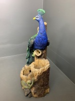 Peacock Statue - Water Feature inc Pump - 2