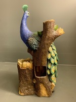 Peacock Statue - Water Feature inc Pump - 5