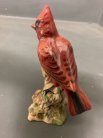 Beswick Red Cardinal C. 1956 - 2