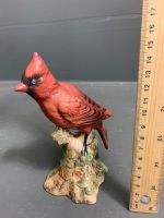 Beswick Red Cardinal C. 1956