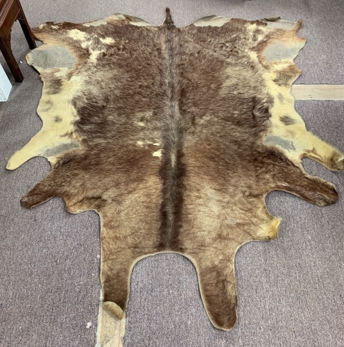 Cowhide Rug - As Is