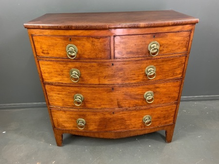 Regency Mahogany Bow Front Chest of 5 Drawers on Bracket Feet with Brass Ring Handles