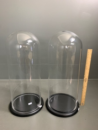 Pair of Contemporary Tall Glass Cloche on Timber Base