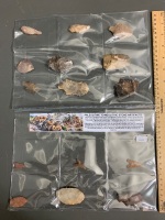 Collection of 15 Paleolithic and Neolithic Stone Artefacts from Africa