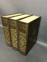 Set 3 Garden Encyclopedias - 2