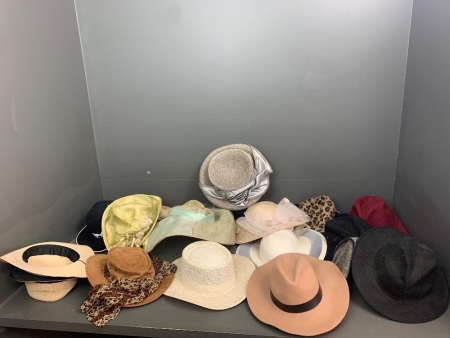 Asstd Lot of 16 Hats inc. Some Designer inc. Nerida Winter etc