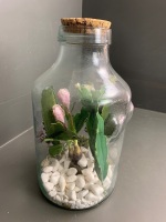 Large Glass Jar/Terrarium with Cork Stopper - 3