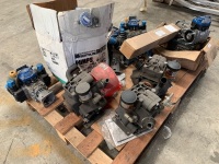 VARIOUS BERTOLINI PUMPS - 2