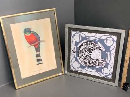 Vintage Framed John Gould Lithograph - Trogon Mexicanus + Bird Framed Lino Cut