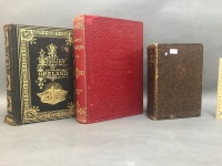 3 Large Antique Books - 2