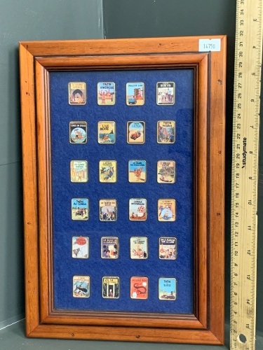 Framed Collection of 24 Tin Tin Pins