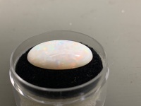 7.1 ct Solid Whitebase Coober Pedy Opal 20.1 mm x 10.1 mm x 5.8 mm thick Oval. Greens and Blue flashes