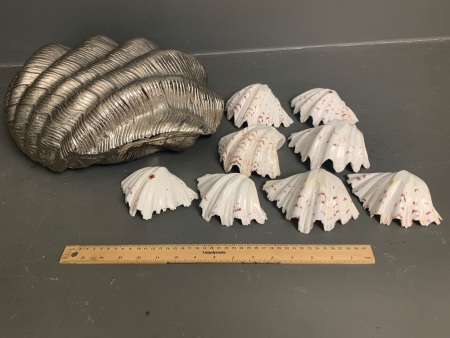 Large Alloy Ornamental Clam Shell with lot of small clam shells