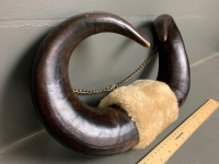 Mounted on Chain American Buffalo (Bison) Horn Tips - 2