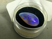 6.4 ct Solid Black Jelly Lightning Ridge Opal Freeform Teardrop - Electric Blues and Greens