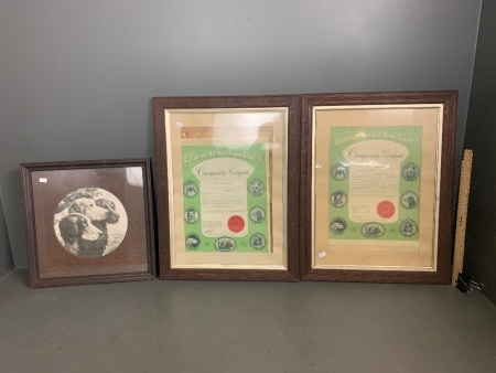 Matching pair Vintage Oak picture frames with glass H47 x W45cm plus 3rd picture with vintage oak frame and glass H 39 x W39