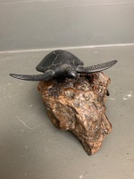 John Perry Turtle Ebonite Sculpture on Burl wood - 2