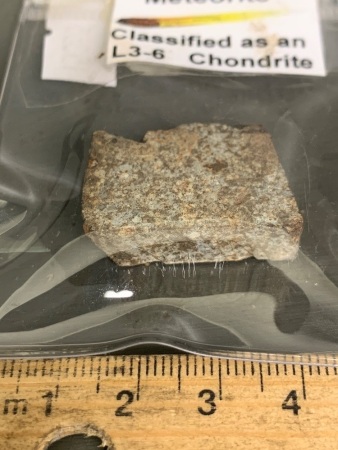 NWA869 L3-6 Chondrite Meteorite