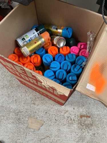 Large box of spray paint cans