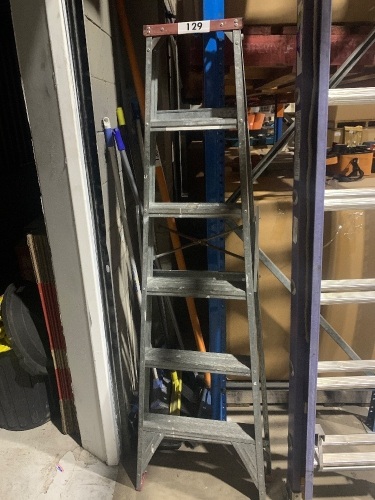 Galvanised step ladder