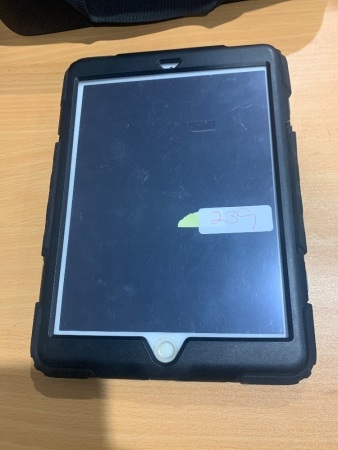 Apple Ipad