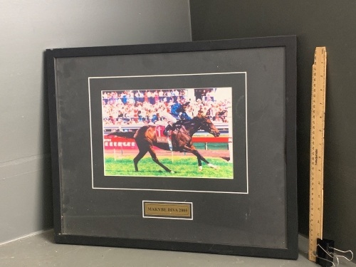 Framed photo of Makybe Diva 2005