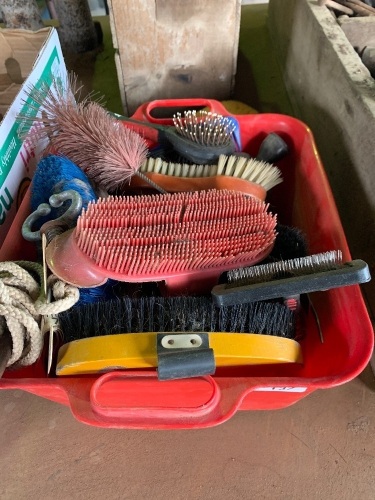 Lot of horse grooming equipment