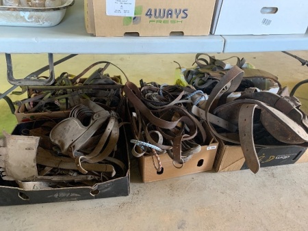 Large assorted lot of Harness leather