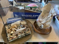 Large display vase with stingray Skelton and two maps + costal selection of shells with the Australian Fisherman book by Harold Vaughan