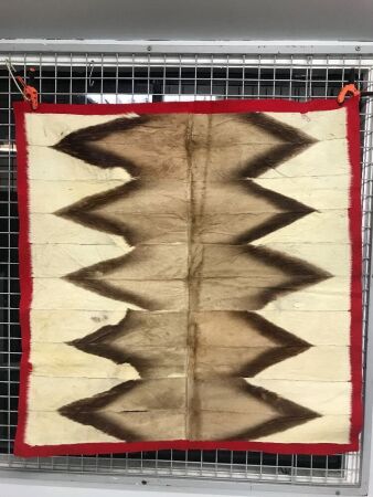 Vintage Springbok Hide Wall Hanging. Ex Zimbabwe