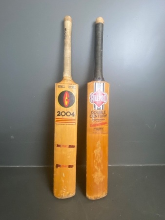 2 cricket bats 2004 Gabba and All Pro Double Century Polyamour Selected Willow Youth