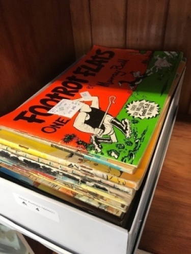 Box of 20 Footrot Flats Comics