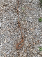 Hand-forged bullock chain - 2