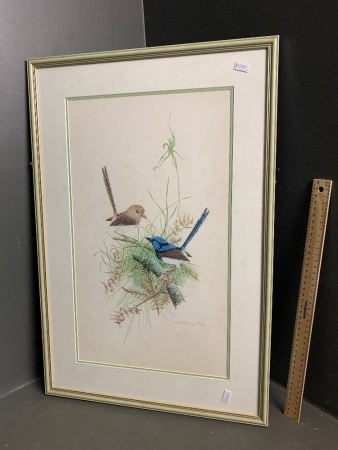 Australian Superb Wrens signed Hilliem Delaney - Limited edition print 457/500 with certificate of authenticity