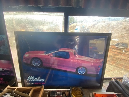 Holden Maloo poster 