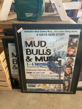 Mud, Bulls and Music posters 