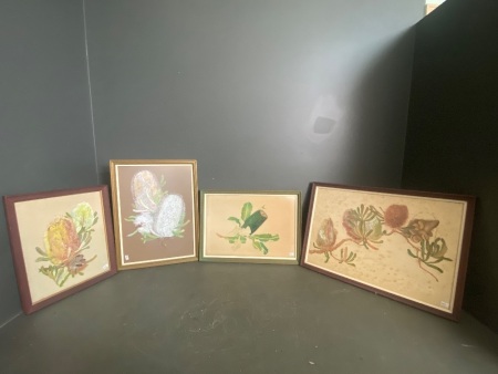 4 Framed Watercolour Paintings of Banksias - Signed R.D