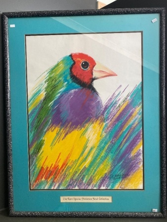 Gouldian Finch by Di Skelly Hevan for The Rare Species Protective Fund Collection