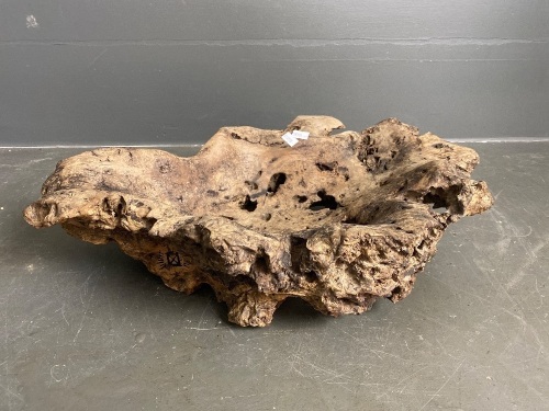 Branded Burl Wood fruit/display bowl