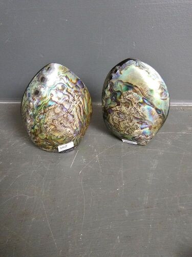 Paua Shell Salt & Pepper Shakers