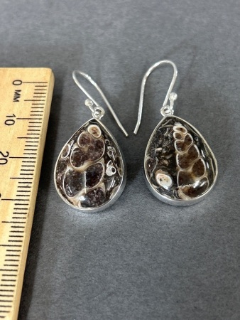 Sterling silver earrings with Turtella Agate Gemstones