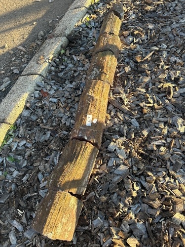 Petrified Wood Log